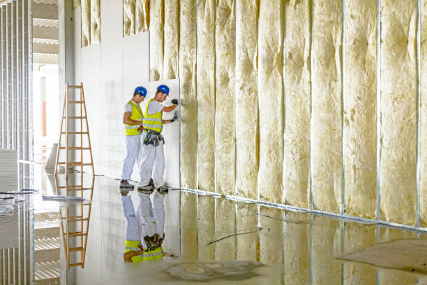 Best Batt and Roll Insulation  in Pacifi, CA